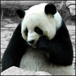 Таиланд, Камбоджа