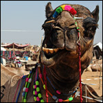 Индия, часть 2