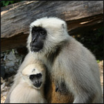 Индия, часть 3